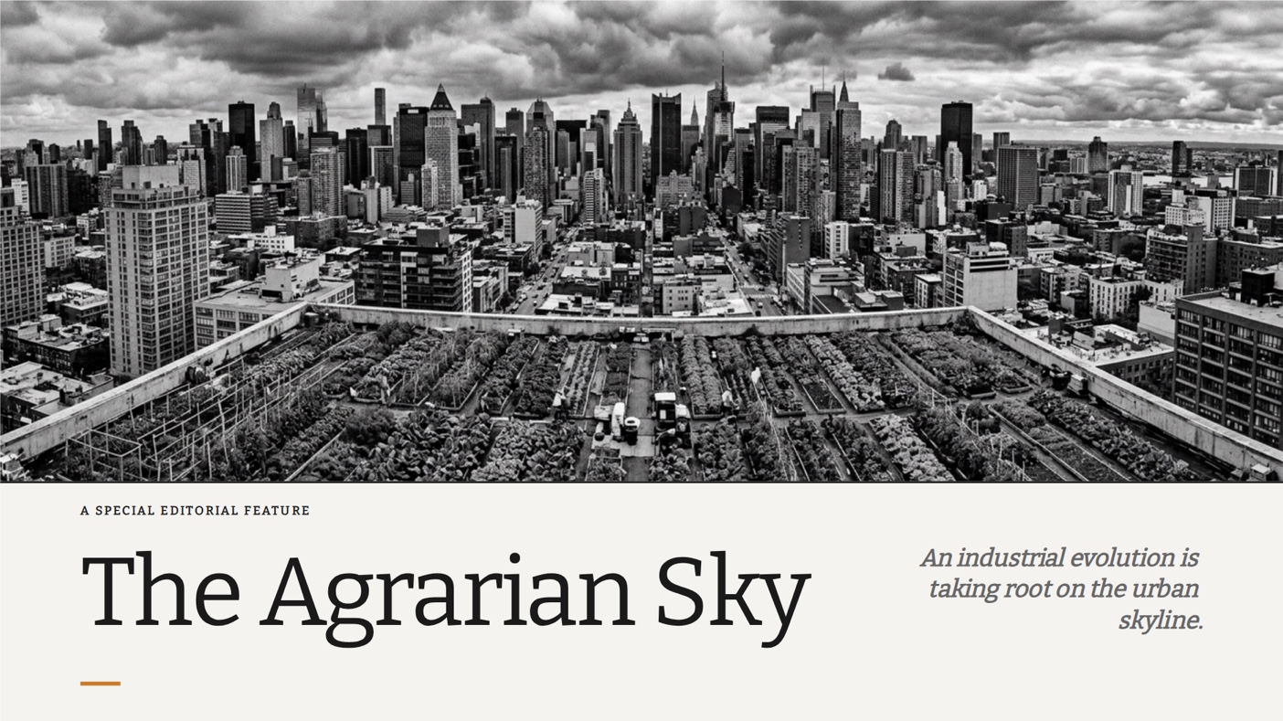 Editorial feature template preview