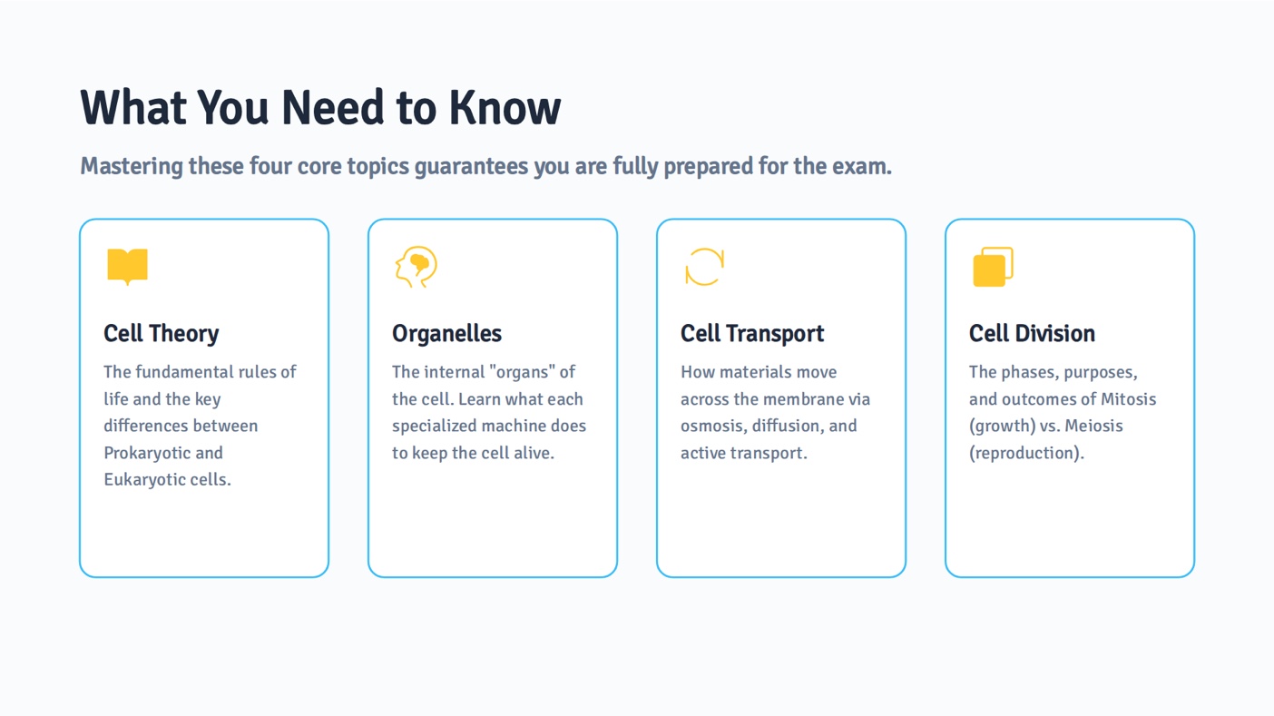 Study guide template preview