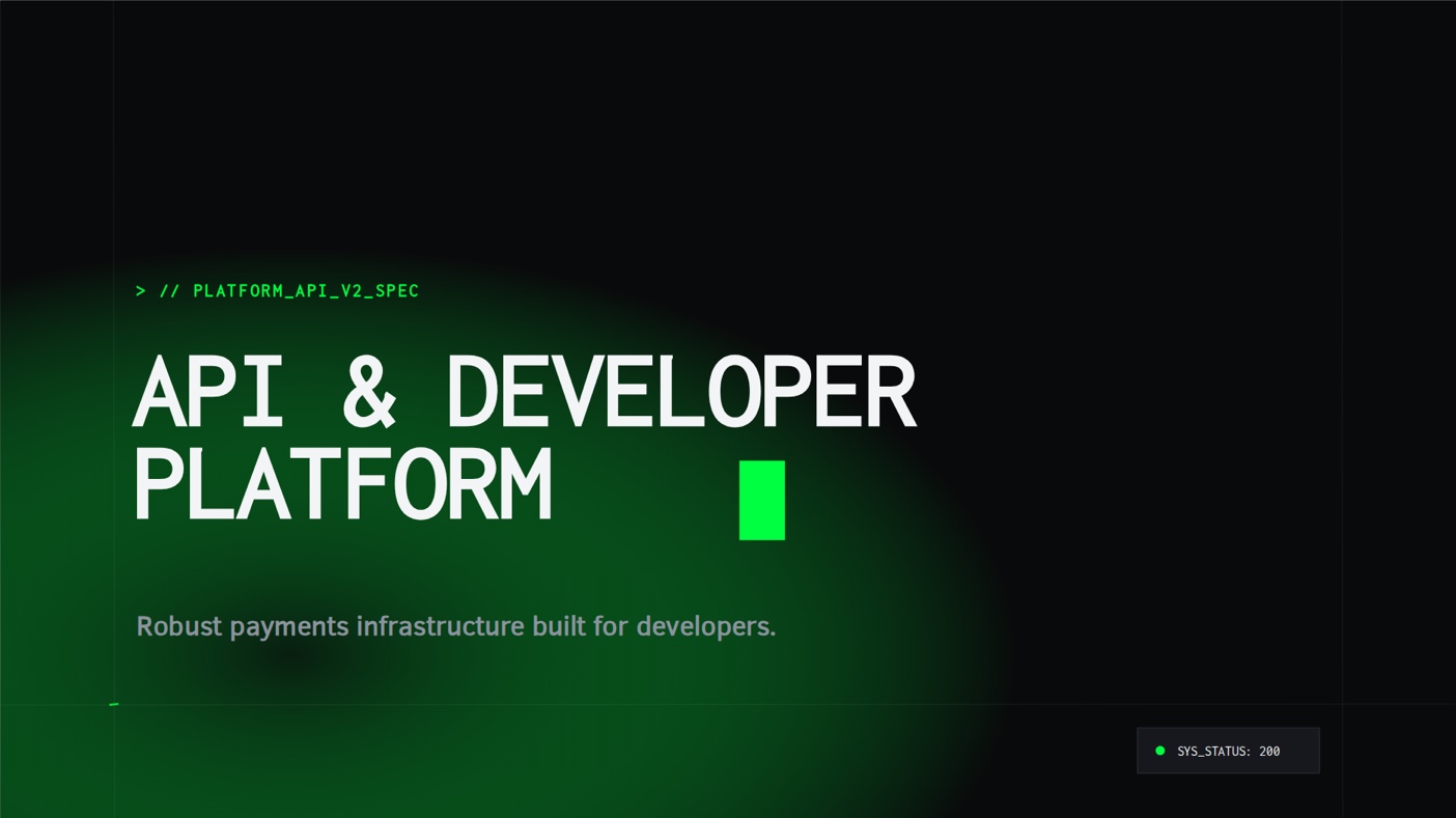 API & developer overview template preview